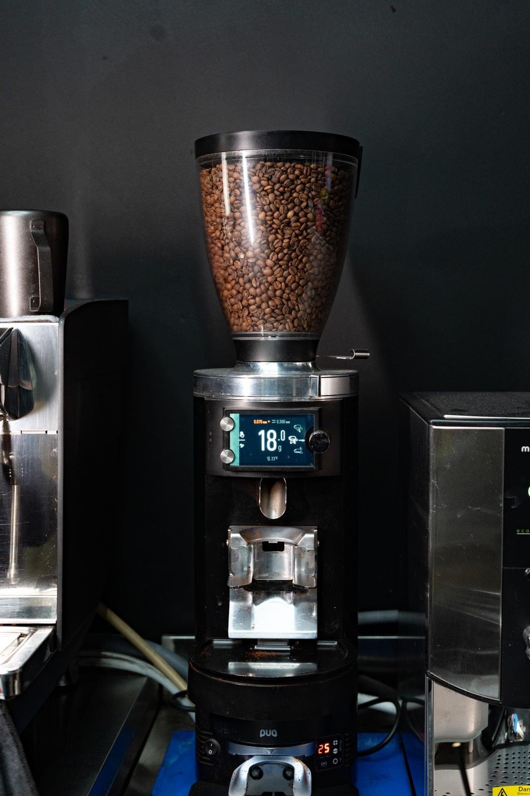 Coffee grinder beans